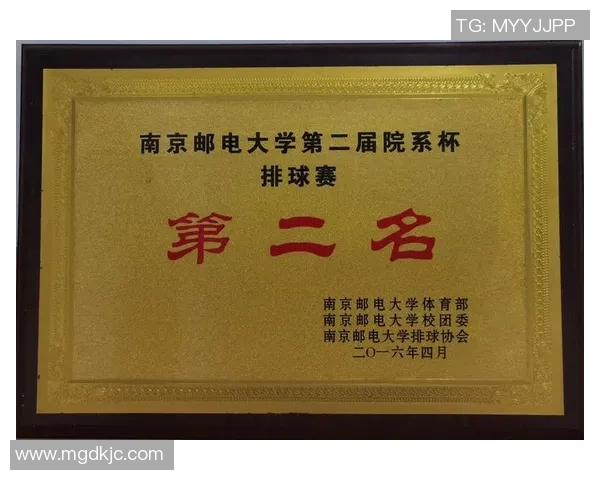 南京排球队在杯赛中的状态分析与表现评估