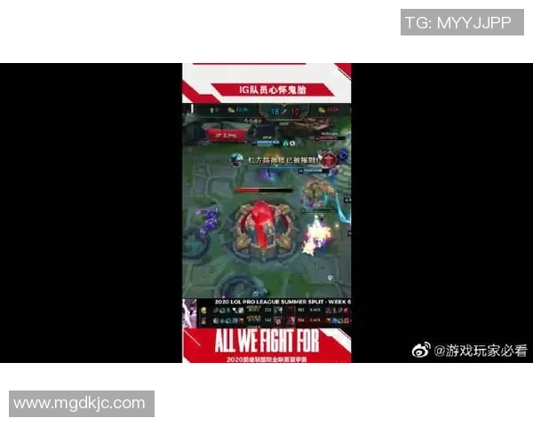 和平精英专题：聚焦IG的状态